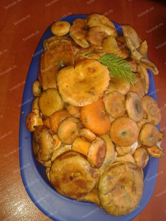 Шаг 1