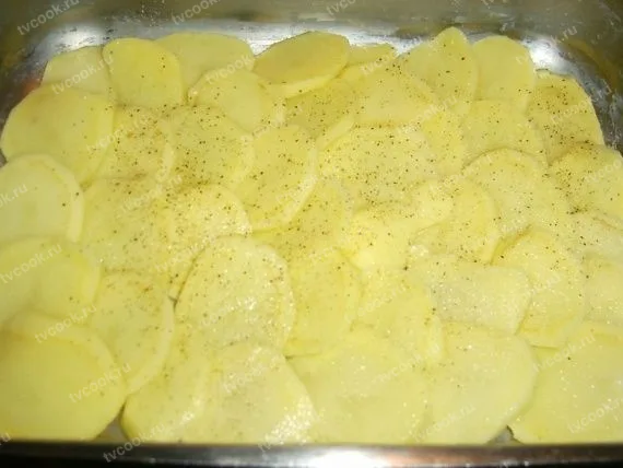 Шаг 5