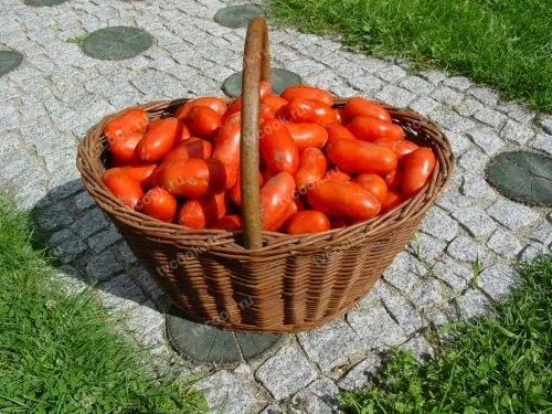 Шаг 1