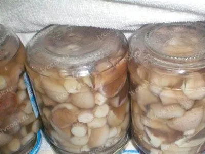 Шаг 4