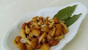 Маринованные опята — классический рецепт с чесноком
