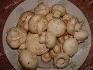 Шаг 1