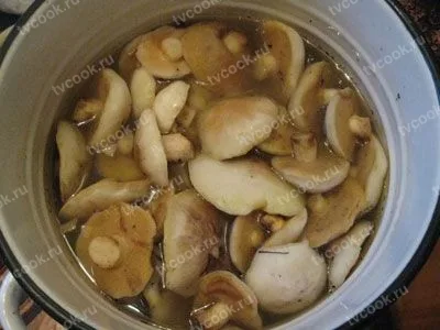 Шаг 1