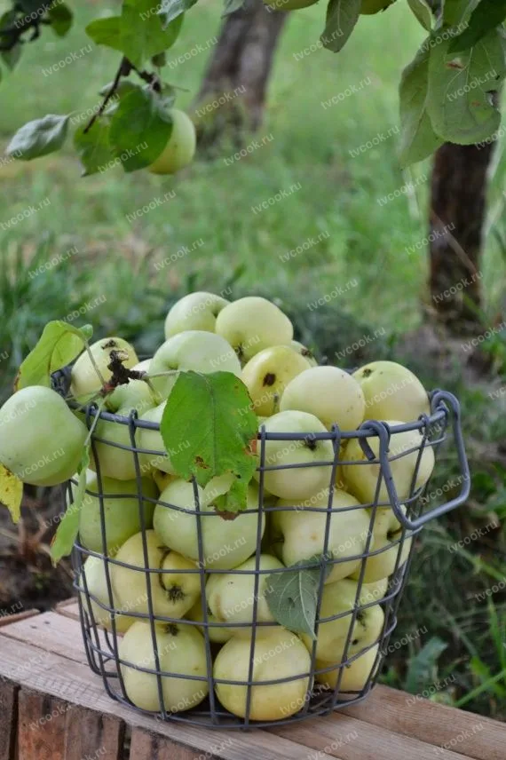 Шаг 1