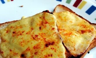 Как приготовить сырные тосты: классический и вариативные варианты Как приготовить сырные тосты: классический и вариативные варианты