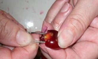 Вареники с вишней на пару — пышные на кефире с крахмалом в начинке Вареники с вишней на пару — пышные на кефире с крахмалом в начинке