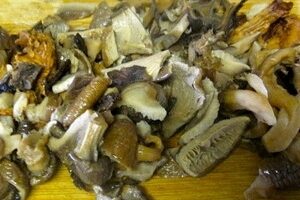 Классическое рагу из говядины с грибами и овощами Классическое рагу из говядины с грибами и овощами