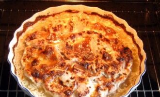 Жаркое из курицы под сыром с грибами в сливочном соусе — пошагово для новичков Жаркое из курицы под сыром с грибами в сливочном соусе — пошагово для новичков