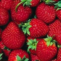 Как приготовить швейцарское фруктовое фондю с шоколадно-сливочным кремом Как приготовить швейцарское фруктовое фондю с шоколадно-сливочным кремом