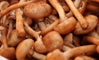 Горячий охотничий салат с говядиной и грибами Горячий охотничий салат с говядиной и грибами