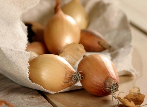 Артишоки, тушенные с помидорами Артишоки, тушенные с помидорами