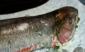 Кутап из форели с рисом и изюмом Кутап из форели с рисом и изюмом