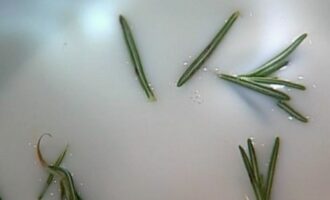 Клубничная панакота с ароматом ванили и розмарина Клубничная панакота с ароматом ванили и розмарина