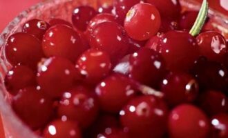 Наливка из клюквы: пошаговый рецепт Наливка из клюквы: пошаговый рецепт
