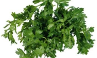Запеченное куриное филе с яблоками Запеченное куриное филе с яблоками