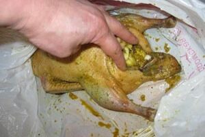 Утка с яблоками, запечённая в рукаве Утка с яблоками, запечённая в рукаве