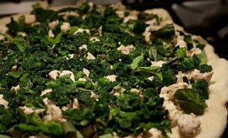 Пицца с курицей Пицца с курицей
