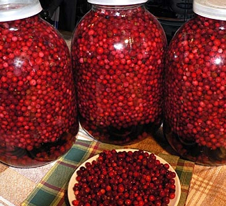Моченая брусника Моченая брусника