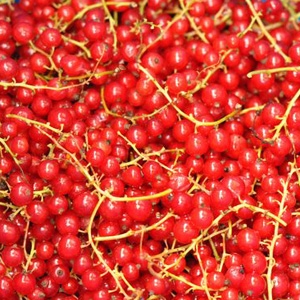 Компот из смородины Компот из смородины