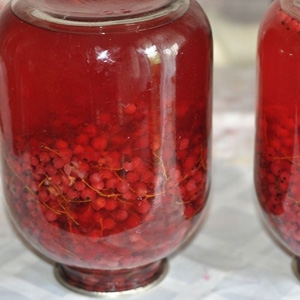 Компот из смородины Компот из смородины