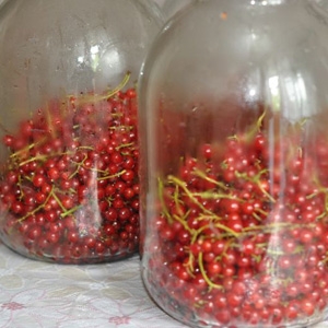 Компот из смородины Компот из смородины