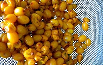 Облепиховый морс Облепиховый морс