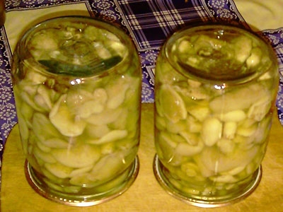 Маслята на зиму Маслята на зиму