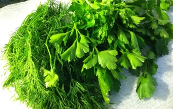 Картофельные зразы с сыром Картофельные зразы с сыром
