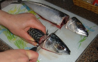 Маринованная скумбрия Маринованная скумбрия