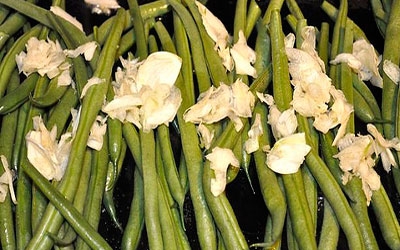 Маринованная стручковая фасоль Маринованная стручковая фасоль