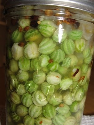 Маринованные каперсы Маринованные каперсы