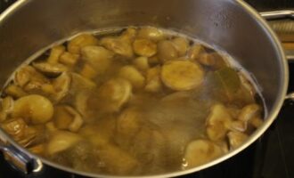 Солянка грибная Солянка грибная