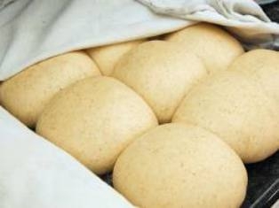 Омар в тесте Омар в тесте