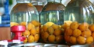 Компот из алычи на зиму — без стерилизации, на 3-литровую банку из жёлтой и красной Компот из алычи на зиму — без стерилизации, на 3-литровую банку из жёлтой и красной