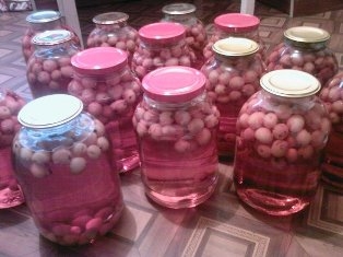 Компот из китайки Компот из китайки