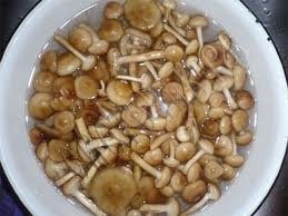 Икра из опят Икра из опят