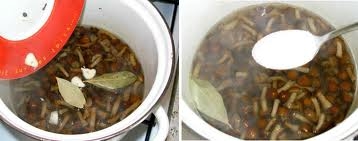 Маринованные опята Маринованные опята