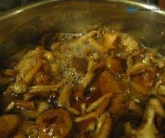 Быстрые маринованные грибы Быстрые маринованные грибы