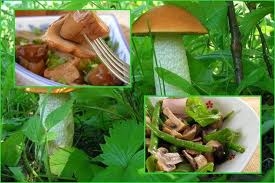 Быстрые маринованные грибы Быстрые маринованные грибы