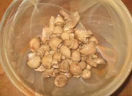 Быстрые маринованные грибы Быстрые маринованные грибы