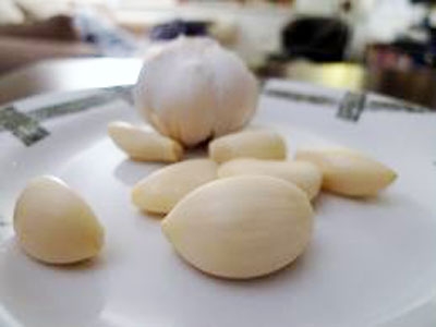 Макароны Лумакони в сливочном соусе с беконом и травами Макароны Лумакони в сливочном соусе с беконом и травами
