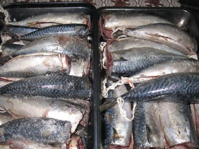 Скумбрия горячего копчения Скумбрия горячего копчения