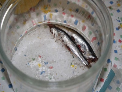 Соленая хамса Соленая хамса