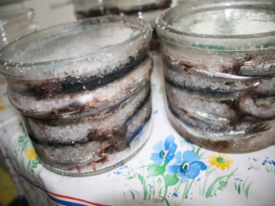 Соленая хамса Соленая хамса