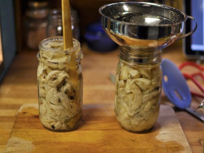Маринованные грибы вешенки Маринованные грибы вешенки