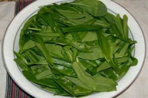 Салат из черемши Салат из черемши