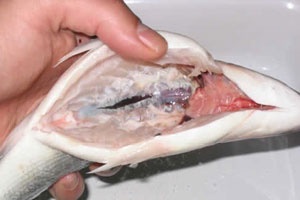 Домашняя маринованная рыба Домашняя маринованная рыба