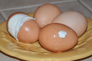 Салат из фризе Салат из фризе