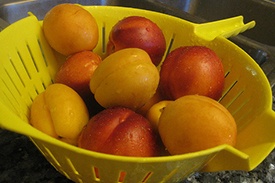 Компот из нектаринов Компот из нектаринов