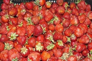Компот из клубники на зиму Компот из клубники на зиму